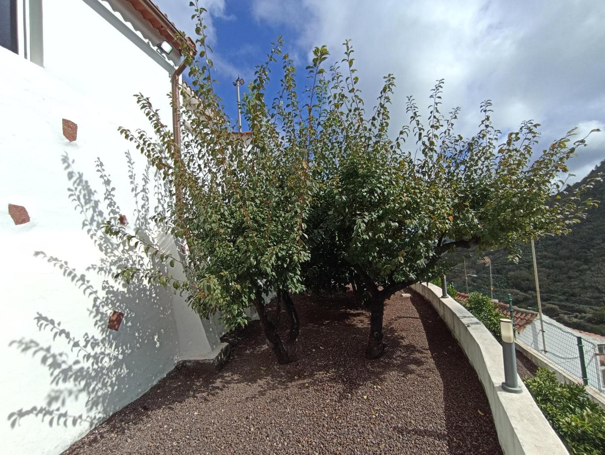 Casa Rural La Yedra San Mateo Arbejales エクステリア 写真