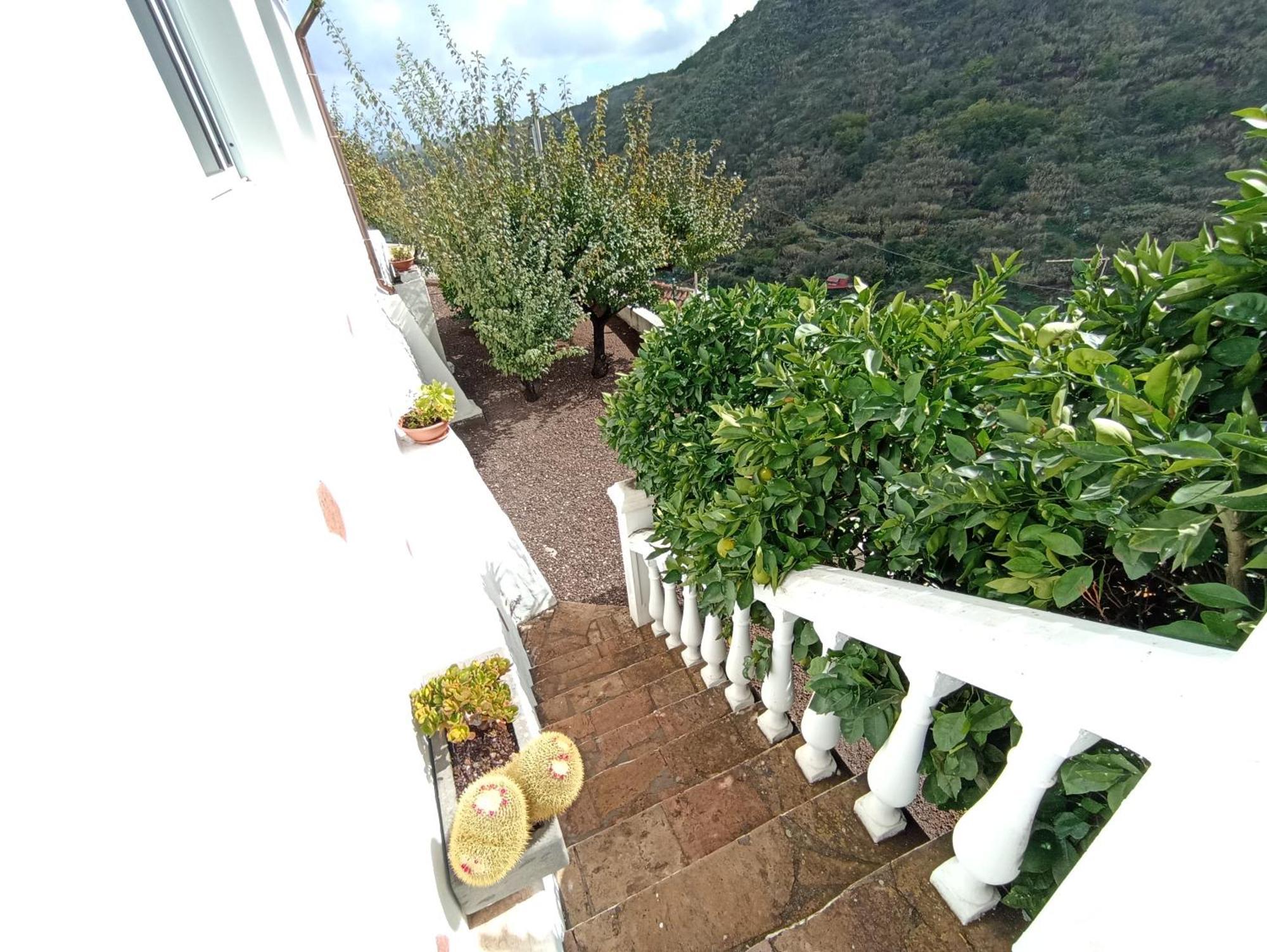 Casa Rural La Yedra San Mateo Arbejales エクステリア 写真